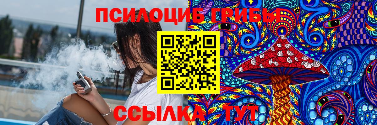 Галлюциногенные грибы Cubensis  Вход с VPN  Псилоцибиновые грибы прущие грибы  цена   Семёнов 